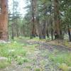 Dry creek bed "flowing" out of Upper State Lake; this is where the trail becomes easy to lose.