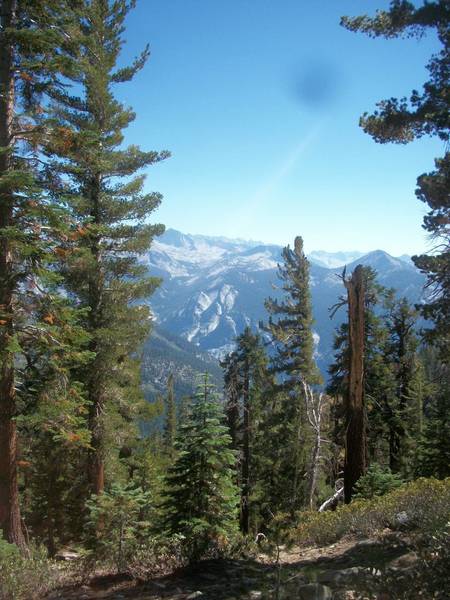 View of the Sphinx, Avalanche Pass, and Mt. Palmer from the Copper Creek Trail.