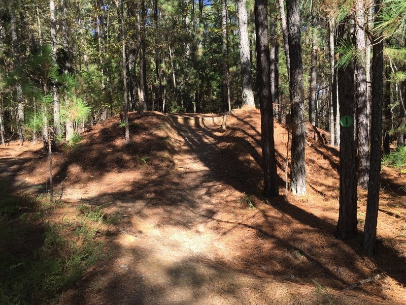 Entry point for Crow Branch Overlook Loop Trail