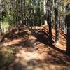 Entry point for Crow Branch Overlook Loop Trail