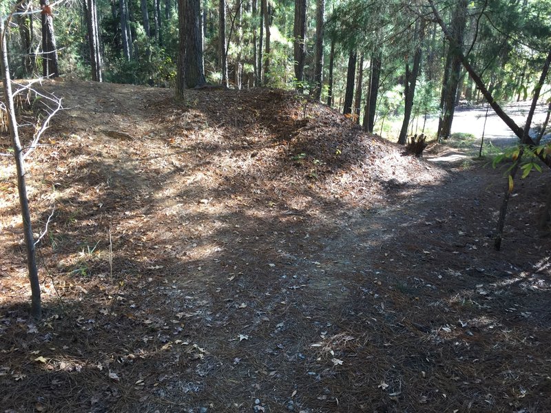 End point of Crow Branch Overlook Loop Trail where it rejoins Pumpkin Loop Trail.