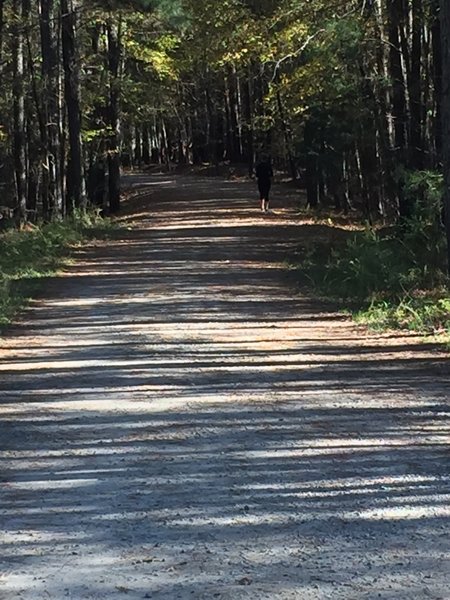 The Pumpkin Loop Trail.