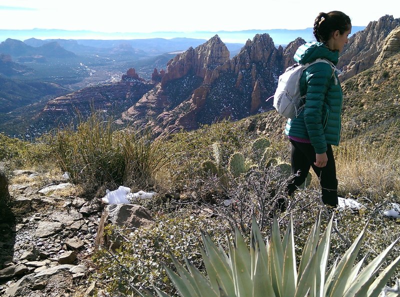 Agave and cactus line the Wilson Mountain Trail.