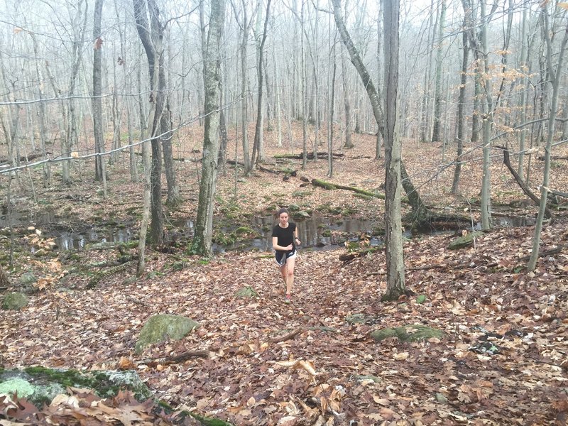 Rolling along Red Trail after a stream crossing.