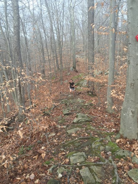 A particularly rocky ridgeline section of Red Trail.