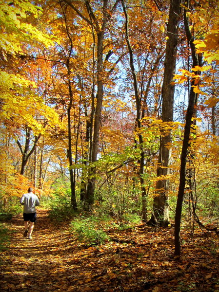 Running along the inner loop of the Spring Valley Trail at Cliff Cave County Park