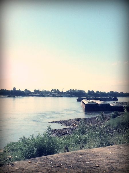 View of the barges along the Mississippi River Trail at Cliff Cave County Park