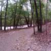 The trail from the Lone Elk trailhead. Park road to the left.