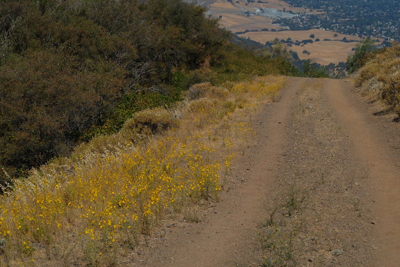 The dirt fire road.