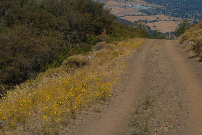 The dirt fire road.
