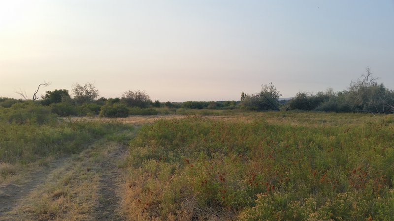 Much of the trail is through low grass and sand.