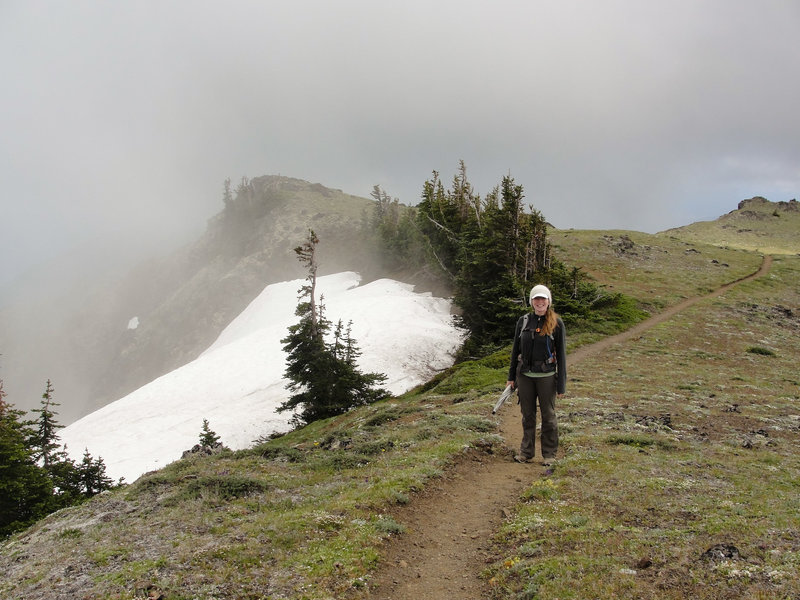 Fog near the summit of Mount Townsend.