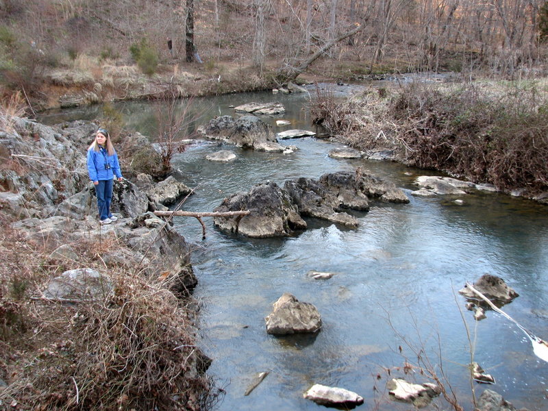 Creek - Johnston Mill.