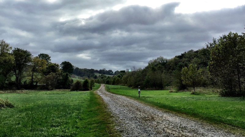 The Green Loop Trail stretching out through Stroud Preserve.