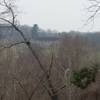 Looking across the Schuylkill River at the Pawlings Farm area and Walnut Hill Barn. There are more trails available across the river.