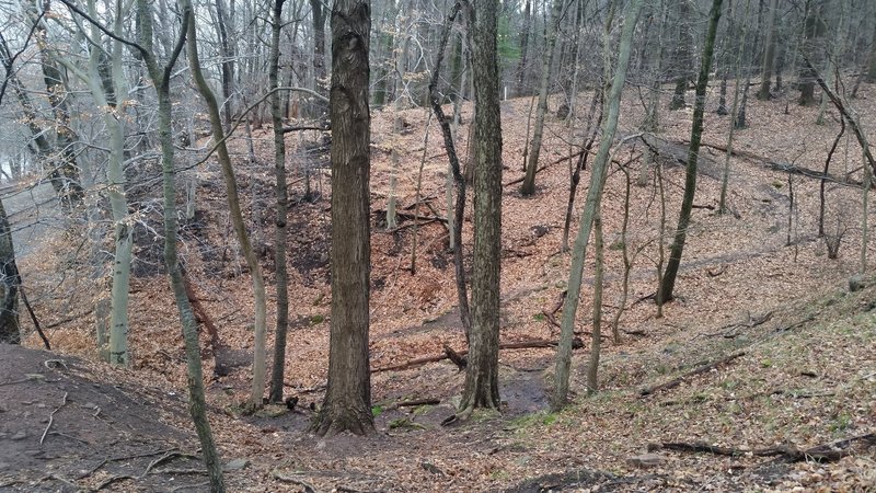 The switchbacks through this depression are often muddy and poor. They are passable, but can also be avoided with a small detour.