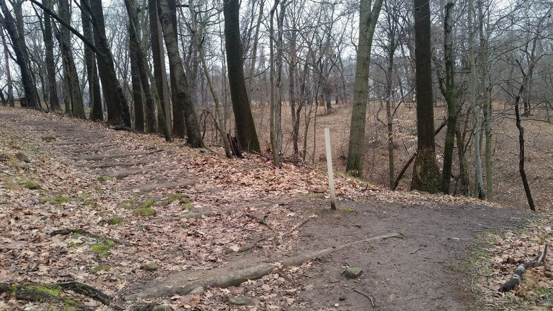 Side trail to Varnum's woods picnic area can also be used to loop around the stream depression and switchbacks.