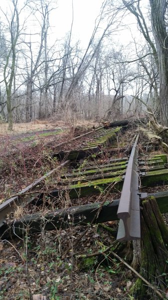 Recent railway repair at the downriver end of the trail left some items behind.