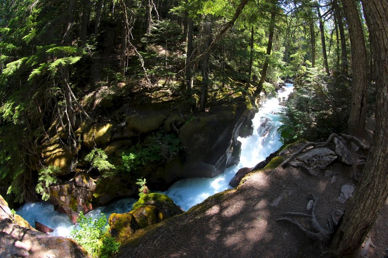 Avalanche Creek.