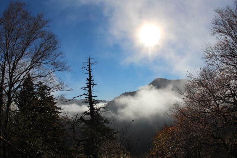 View below the Chimney Tops.