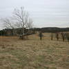 Fields of Valley Forge National Park.