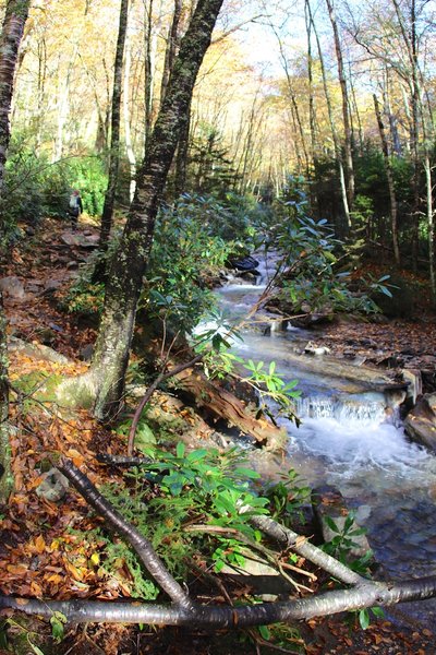 Trail on stream path