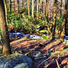 Great Smoky Mountains National Park - Rainbow Falls Trail