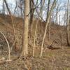 This large berm is part of the Schuylkill River Desilting project 1947-1951.