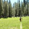 Trail opens up to many beautiful meadows.