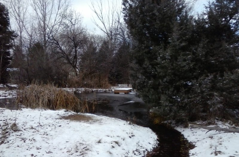 The view of the pond and creek flowing out of it this winter.