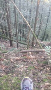 Again hard to tell but this drops off about 100 feet.  A lot of the trail in this area runs right on the edge.