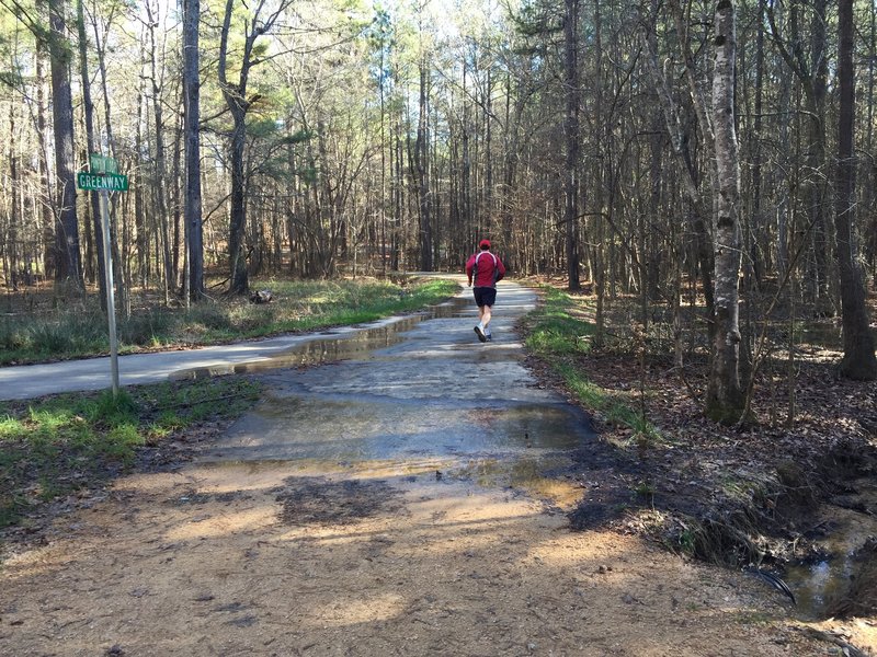 Runner on Pumpkin Loop Trail where it joins Carolina North Greenway.