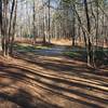 First intersection of Pumpkin Loop Trail with Carolina North Greenway.