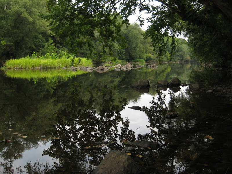 White Pines Nature Preserve