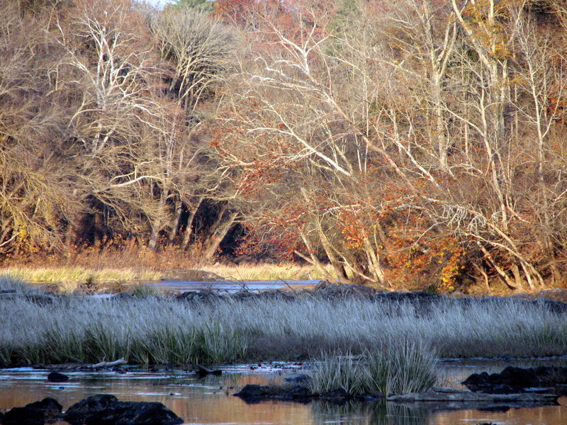 Confluence Rocky and Deep Rivers. White Pines TLC Preserve Pittsboro, NC.