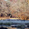 Confluence Rocky and Deep Rivers. White Pines TLC Preserve Pittsboro, NC.