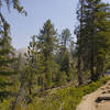 Looking up at Sentinel Dome.