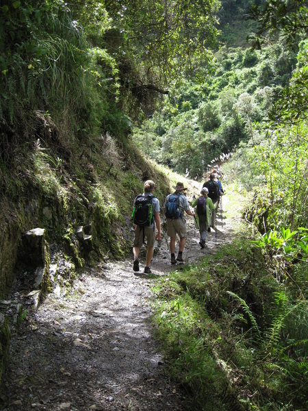 A view of the trail - smooth and easy at this point.