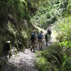 A view of the trail - smooth and easy at this point.