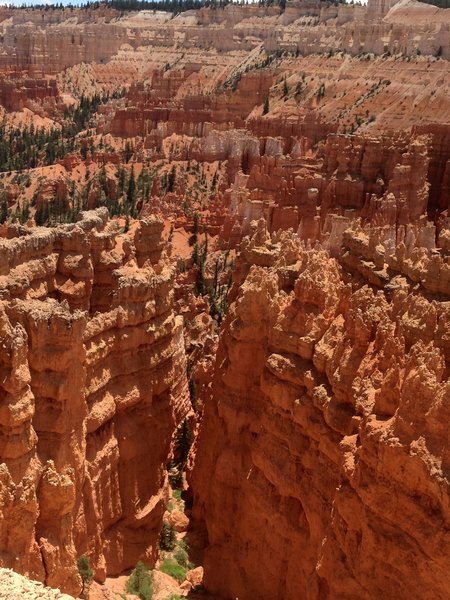 View south towards Bryce Point.