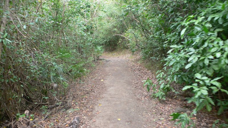 Francis Bay Trail.
