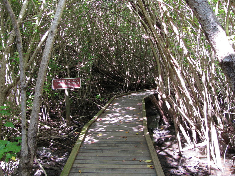 Boardwalk to Francis Bay.