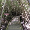 Boardwalk to Francis Bay.