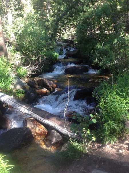 A small bridge over Bishop Creek along the Piute Pass Trail.