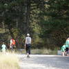 Spring Gulch crossing on the Main Rattlesnake trail.