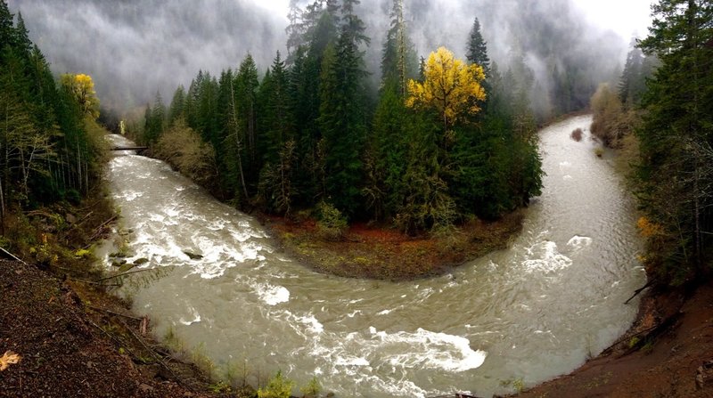 Looking at the Great Bend of the North Fork of the Skokomish River in Olympic National Park