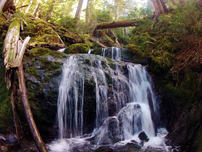 Donahue Creek Falls on the way to Flapjack Lakes in Olympic National Park