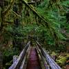 Crossing the bridge at the Shady Lane Trail in Olympic National Park