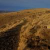 The Skyline Trail is a great place to catch the sunset.