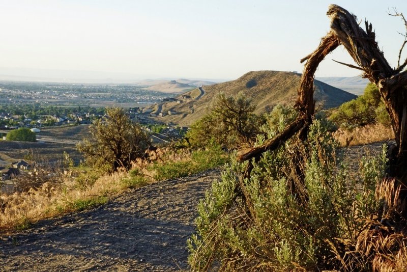 Sagebrush Trail - View towards Little Badger and Kennewick